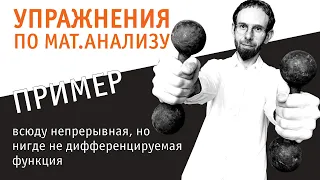 Пример всюду непрерывной, но нигде не дифференцируемой функции