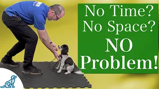 A 5 Minute Training Plan For Teaching Your Dog To LISTEN!