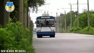 Черкаський тролейбус- ЗиУ-6205 [620500] №2031 07.07.2016 / Cherkasy trolleybus- ZiU-6205 №2031