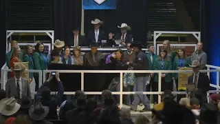 NWSS 2019 - National Western Stock Show