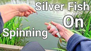 Nano Jigging for Silver Fish