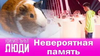 Удивительные люди. 4 Сезон. Финал. Наранбат Ширбазар. Невероятная память