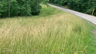 Ventrac cleaning up along a roadside