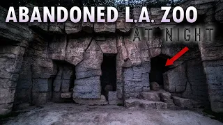 Abandoned Los Angeles Zoo AT NIGHT | Griffith Park Zoo