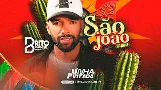 UNHA PINTADA - São João Do Unha | Músicas Novas Junho 2024