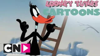 Una casa per l'inverno | Looney Tunes Cartoons | Cartoon Network Italia