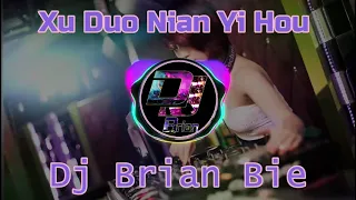 Xu Duo Nian Yi Hou 许多年以后 Remix By Dj Brian Bie