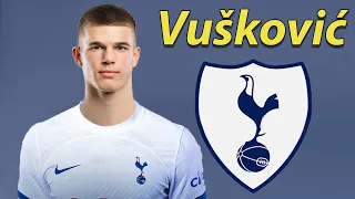 Luka Vuskovic ● Welcome to Tottenham Hotspur ⚪ Best Defensive Skills & Passes