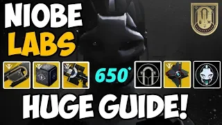 Destiny 2 | Niobe Labs Week Complete Guide! All Codes, Get Jotunn, Izanagi's Burden & More!