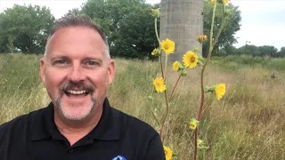 Walk in the Park with Joel - Compass Plant