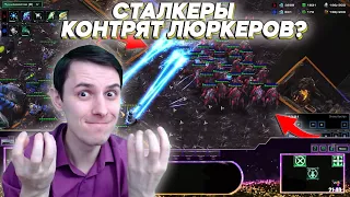 СТАЛКЕРЫ КОНТРЯТ ЛЮРКЕРОВ?! Битва СтарКоманов Starcraft 2