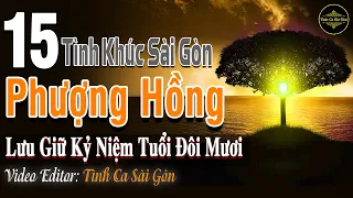 Phượng Hồng – Tình Ca Sài Gòn Hải Ngoại Lưu Giữ Kỷ Niệm Tuổi Đôi Mươi | Tình Khúc Phòng Trà 1975