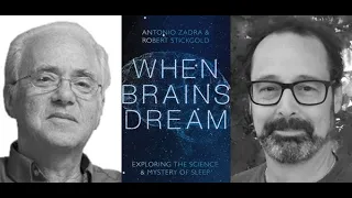 Robert Stickgold, "When Brains Dream: Exploring the Science and Mystery of Sleep"