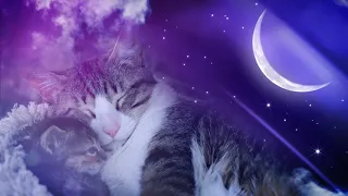 3 Hours - Soothing Music for Cats (Instant Relief from Stress and Anxiety) 4K