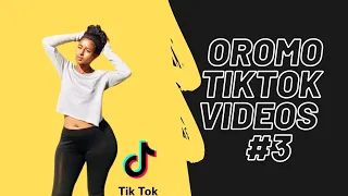 🔴Oromo Best of Afaan Oromo TikTok Videos 2021 #3