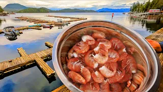 Cooking Spot Prawns | Simple but Tasty Boiled Shrimp