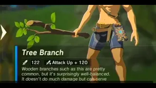 BOTW - WMC Weapons, Bows and Shields All at Once