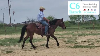 Gypsy the Filly's First Ride In An Open Area!