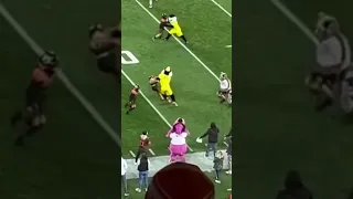 Mascot DESTROYS a kid at NFL game 👀