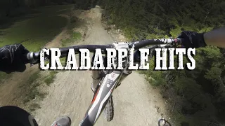 Crabapple Hits |  The biggest jumps I've ever done....