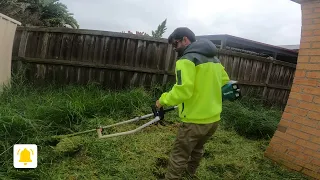 Neglected Overgrown Yard of Tall Grass Transformed - Epic Finale with Free Lawn Care Mowing