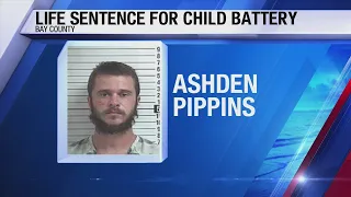 Bay Co. man sentenced to life in prison for sexual battery on a child