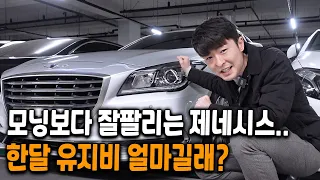 제네시스 중고차 한달 유지비는 얼마나 들까?