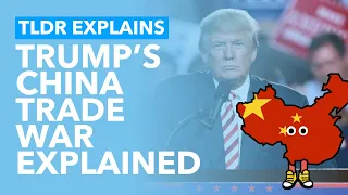 Trump's China Trade War Explained - TLDR Explains