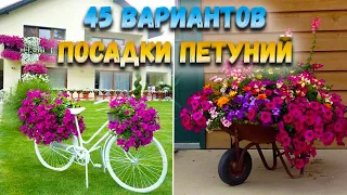 45 ВАРИАНТОВ КРАСИВОЙ ПОСАДКИ ПЕТУНИЙ 🌷