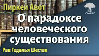 [61 часть] О зависти, страсти и честолюбии. Пиркей Авот. Рав Гедалья Шестак