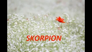 🦂 SKORPION - czytanie tarota na maj 2023r.