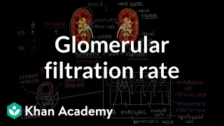 Changing glomerular filtration rate | Renal system physiology | NCLEX-RN | Khan Academy