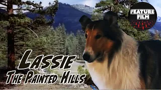 Lassie: The Painted Hills (1951) | Family Movie | Full Lenght | For Free | Classic Lassie Series