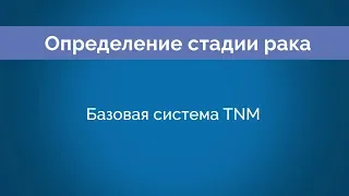 Chapter 8: Базовая система TNM (Essential TNM)