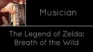 Kass' Theme (Musician) - The Legend of Zelda: Breath of the Wild [Acoustic]