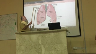 Respiratory module 23 ( Lung , part 1 ) by , Dr. Wahdan