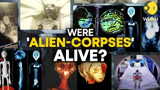 Alien corpses unveiled in Mexico might be real, says lab test | WION Originals