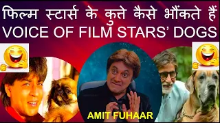 STAND UP COMEDY INDIAN | FILM STARS KE DOGS KAISE BHOKTE HAIN | BOLLYWOOD ACTORS MIMICRY AMIT FUHAAR