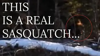 MIND-BLOWING BIGFOOT FOOTAGE | Massive Bigfoot Caught on Camera | MBM 193