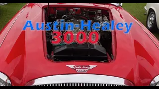 Austin Healey 3000  (1959-1967)