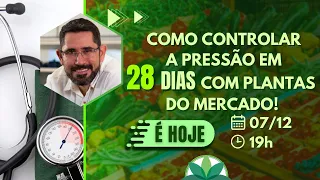 Como controlar a pressão em 28 dias? Veja plantas que você encontra na rua e no supermercado!