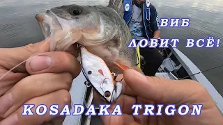 Очень хороший Виб ЛОВИТ ВСЁ! Kosadaka Trigon. Виб для окуня и щуки и судака!