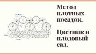 Метод плотных посадок в цветниках и плодовом саду.