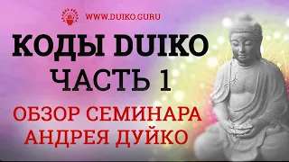 КОДЫ DUIKO | Часть 1 | Обзор семинара Андрея Дуйко @Duiko ​