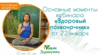 Основные моменты вебинара "Здоровый позвоночник" от 22 января // Александр Волосков