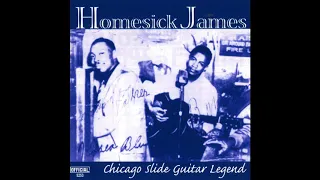 Homesick James - Shake Your Money Maker