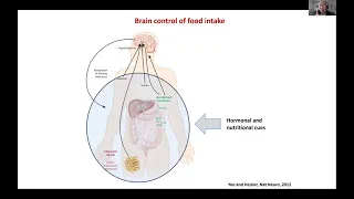 Dr. Giles Yeo - The Brain Control of Food Intake: Can an Old Dog Teach Us New Tricks?