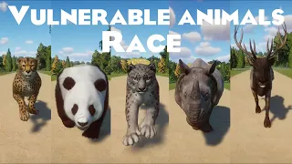 Vulnerable Animals Speed Race in Planet Zoo included Rhinoceros, Panda, Cheetah, Elk, Reindeer & etc