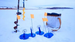 РЫБАЛКА НА ЖЕРЛИЦЫ.ХОРОШИЙ ЭКЗЕМПЛЯР В ГЛУХОЗИМЬЕ.