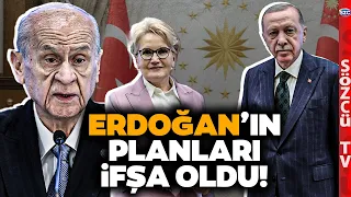 Mustafa Balbay Erdoğan'ın Akşener'le Verdiği Pozu Devlet Bahçeli Kriziyle Anlattı! İşte Planı